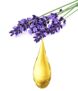 Mani + Pedi™ CUTICLE OIL  - infused with *Sweet Lavender (EO) - 1/3 FL. OZ.  (Full-Size) Glass Bottle (Brush-On) - Never Sticky or Greasy!