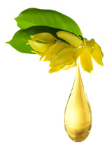 Mani + Pedi™ CUTICLE OIL  - infused with *Ylang-Ylang (EO) - 1/3 FL. OZ.  (Full-Size) Glass Bottle (Brush-On) - Never Sticky or Greasy!